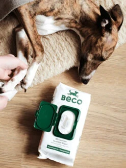 80 Lingettes Lavantes Pour Chien - Compostables - Noix De Coco 🥥 -Animalerie Becopets lingettes bambou eco friendly ecologique pour chien noix de coco 3 1
