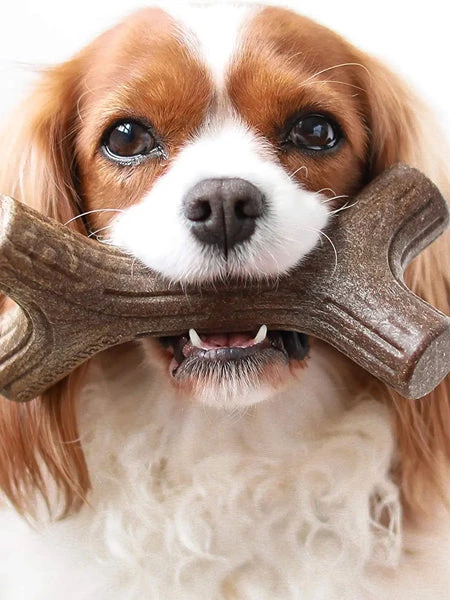 Jouet à Mâcher Pour Chien - Bacon Stick 🥓 - Benebone 6 Jouet à Mâcher Pour Chien - Bacon Stick 🥓 - Benebone – Image 4