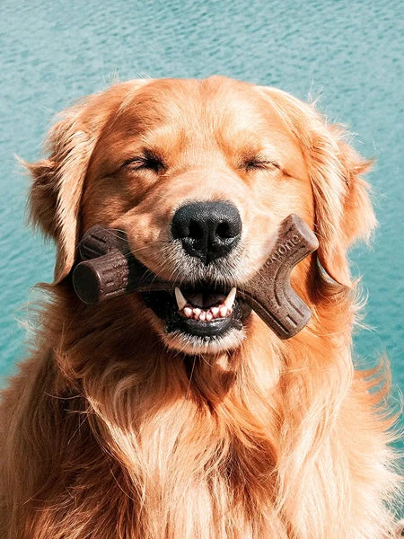 Jouet à Mâcher Pour Chien - Bacon Stick 🥓 - Benebone 4 Jouet à Mâcher Pour Chien - Bacon Stick 🥓 - Benebone – Image 2