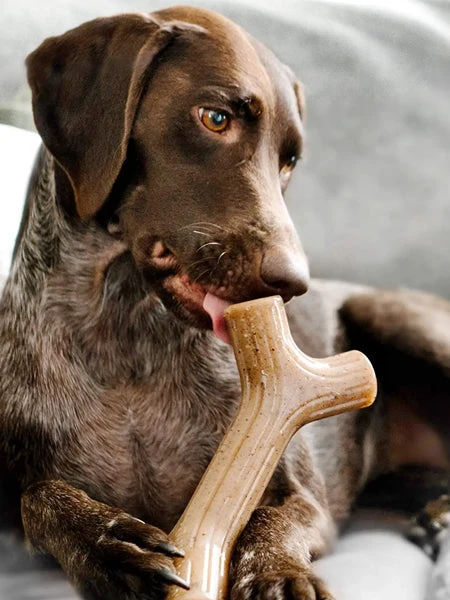 Jouet à Mâcher Pour Chien - Bacon Stick 🥓 - Benebone 7 Jouet à Mâcher Pour Chien - Bacon Stick 🥓 - Benebone – Image 5