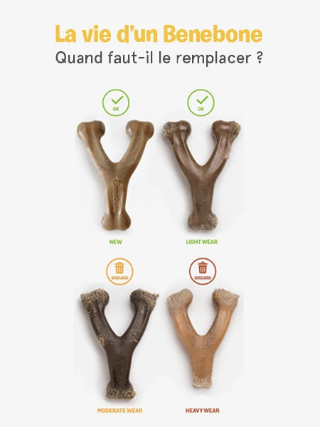 Jouet à Mâcher Pour Chien - Wishbone - Saveur Bacon 🥓 - Benebone 8 Jouet à Mâcher Pour Chien - Wishbone - Saveur Bacon 🥓 - Benebone – Image 6