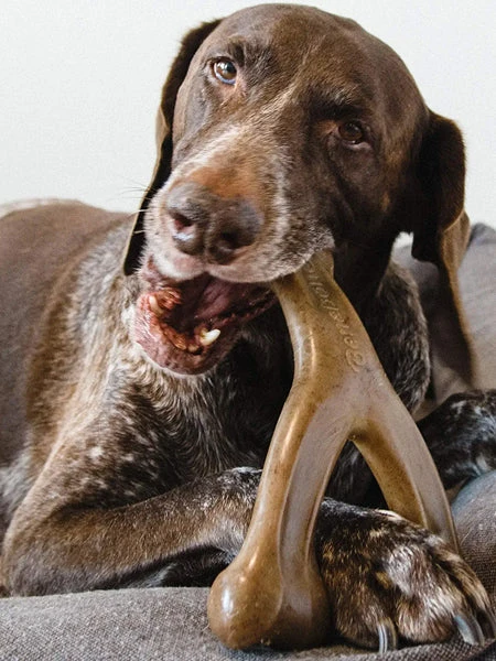 Jouet à Mâcher Pour Chien - Wishbone - Saveur Bacon 🥓 - Benebone 5 Jouet à Mâcher Pour Chien - Wishbone - Saveur Bacon 🥓 - Benebone – Image 3