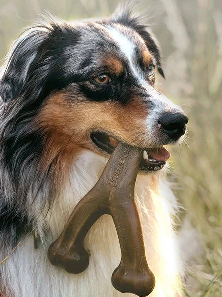 Jouet à Mâcher Pour Chien - Wishbone - Saveur Bacon 🥓 - Benebone 4 Jouet à Mâcher Pour Chien - Wishbone - Saveur Bacon 🥓 - Benebone – Image 2