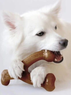 Jouet à Mâcher Pour Chien - Wishbone - Saveur Poulet 🐔 - Benebone -Animalerie Benebone jouet a macher pour chien wishbone poulet 3