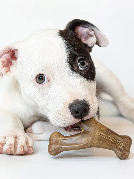 Jouets à Mâcher Pour Chiot - Wishbone Puppy Bacon 🥓 - Benebone 4 Jouets à Mâcher Pour Chiot - Wishbone Puppy Bacon 🥓 - Benebone – Image 2