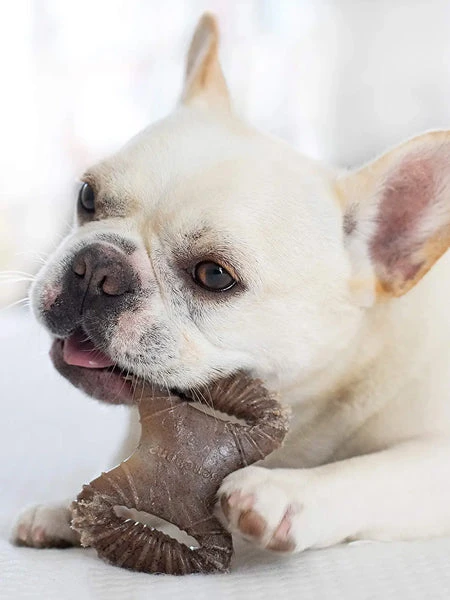 Pack De 2 Jouets à Mâcher Pour Petit Chien - Dental Chew / Wishbone Bacon 🥓 - Benebone 5 Pack De 2 Jouets à Mâcher Pour Petit Chien - Dental Chew / Wishbone Bacon 🥓 - Benebone – Image 3