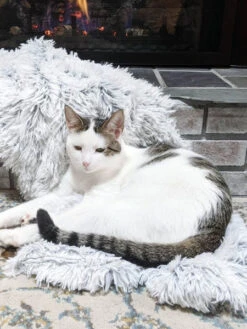 Plaid Apaisant Pour Chien Et Chat - Best Friends By Sheri - Frost -Animalerie Best Friend by Sheri plaid ultra confort doux pour chien gris 4