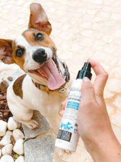 Soin Dentaire Pour Chien En Spray - Dentifresh 🦷 - Biogance -Animalerie Biogance soins dentaire naturels chien denti fresh 3