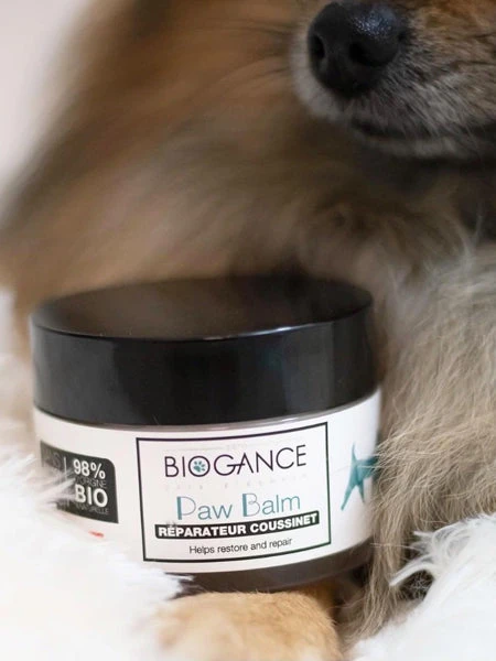 Baume Coussinets Pour Chien 🐾 - Paw Balm - Biogance 5 Baume Coussinets Pour Chien 🐾 - Paw Balm - Biogance – Image 3