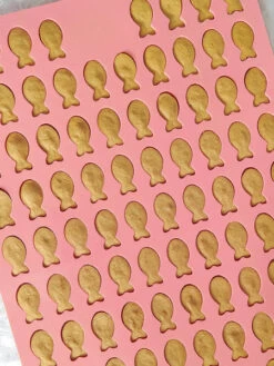 Moule En Silicone Pour Friandises - 204 Poissons - Rose Bordeaux -Animalerie Collory moule friandises pour chien poisson 1