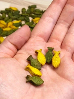 Moule En Silicone Pour Friandises - 204 Poissons - Rose Bordeaux 9 Moule En Silicone Pour Friandises - 204 Poissons - Rose Bordeaux -Animalerie Collory moule friandises pour chien poisson 4 b2b6e78c c0ae 4917 a9ab 281f3187ecae 1