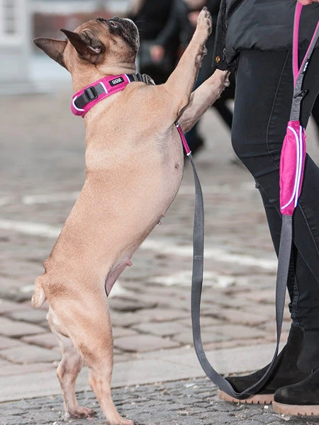 Collier Rose Pour Chien - Urban Explorer - DOG Copenhagen 7 Collier Rose Pour Chien - Urban Explorer - DOG Copenhagen – Image 5