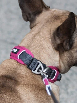 Collier Rose Pour Chien - Urban Explorer - DOG Copenhagen 11 Collier Rose Pour Chien - Urban Explorer - DOG Copenhagen -Animalerie DOG Copenhagen collier pour chien resistant urban explorer rose 5