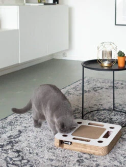 Griffoir En Carton Pour Chat - Carré -Animalerie District70 griffoire pour chat carre 4 f94c18c4 4b86 4682 88b9 11c7b335b62f