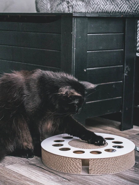 Griffoir En Carton Pour Chat - Rond 7 Griffoir En Carton Pour Chat - Rond – Image 5