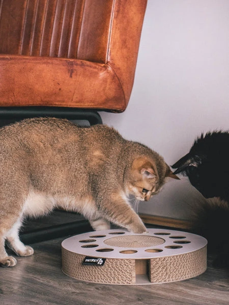 Griffoir En Carton Pour Chat - Rond 5 Griffoir En Carton Pour Chat - Rond – Image 3