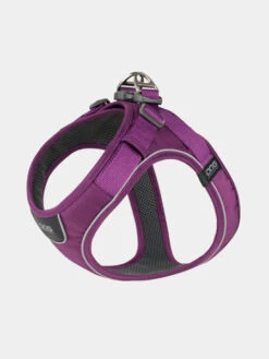 Harnais Violet Pour Chien - Comfort Walk Go - DOG Copenhagen (Nouveau)