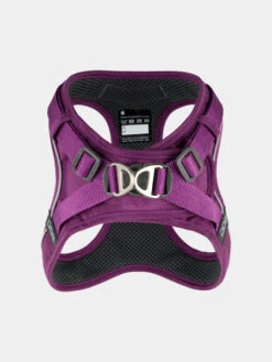 Harnais Violet Pour Chien - Comfort Walk Go - DOG Copenhagen (Nouveau) -Animalerie Dog Copenhagen harnais chien Comfort Walk Go violet 6