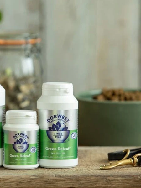 Green Releaf Dorwest (Legume's Mix) - Soulage Les Articulations Pour Chien Et Chat 4 Green Releaf Dorwest (Legume's Mix) - Soulage Les Articulations Pour Chien Et Chat – Image 2