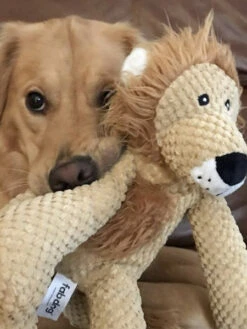 Peluche Pour Chien - Floppy Lion 🦁 - Fab Dog 7 Peluche Pour Chien - Floppy Lion 🦁 - Fab Dog -Animalerie Fabdog jouet peluche pour chien lion