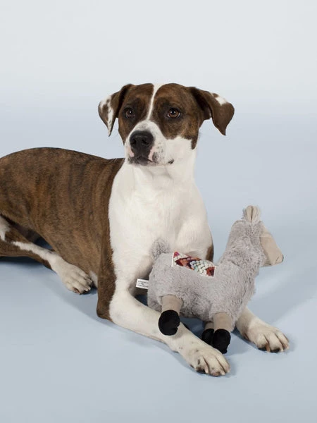 Peluche Pour Chien - Lama Chill 🦙🏖️ - Fringe PetShop 4 Peluche Pour Chien - Lama Chill 🦙🏖️ - Fringe PetShop – Image 2