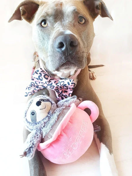 Peluche Pour Chien - Paresseux Sloffee 🦥☕ - Fringe PetShop 4 Peluche Pour Chien - Paresseux Sloffee 🦥☕ - Fringe PetShop – Image 2