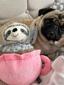 Peluche Pour Chien - Paresseux Sloffee 🦥☕ - Fringe PetShop 10 Peluche Pour Chien - Paresseux Sloffee 🦥☕ - Fringe PetShop -Animalerie Fringe petshop peluche design chien 289376 Sloffee 3