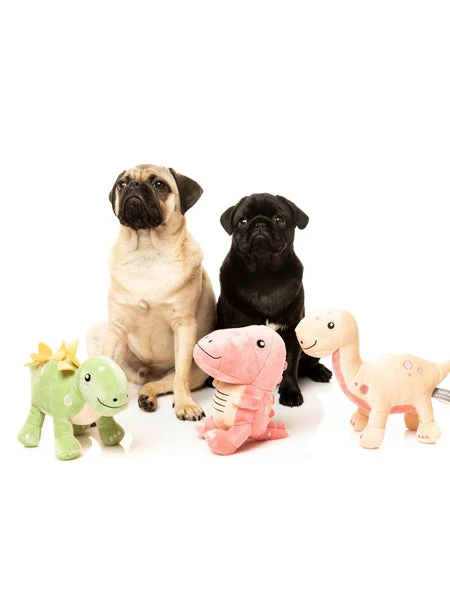 Peluche Originale Pour Chien - Dinosaure Brontosaure - FuzzYard 5 Peluche Originale Pour Chien - Dinosaure Brontosaure - FuzzYard – Image 3