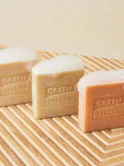 Shampoing Solide Chiot - Chicoré Et Huile D'olive - Greenfields -Animalerie Greenfields shampoing solide naturel pour chien 2