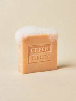 Shampoing Solide Chiot - Chicoré Et Huile D'olive - Greenfields -Animalerie Greenfields shampoing solide naturel pour chiot 2