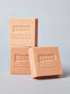 Shampoing Solide Chiot - Chicoré Et Huile D'olive - Greenfields -Animalerie Greenfields shampoing solide naturel pour chiot 3