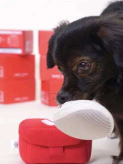 Jouet De Fouille Pour Petit Chien - Sneakers Addict 👟 - Howlpot -Animalerie Howlpot jouet interactif petit moyen chien boite chaussure shoes box 1