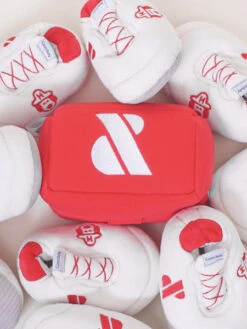 Jouet De Fouille Pour Petit Chien - Sneakers Addict 👟 - Howlpot -Animalerie Howlpot jouet interactif petit moyen chien boite chaussure shoes box