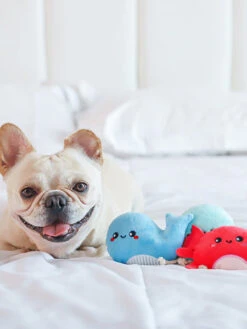 Lot De 3 Peluches Pour Chien - Créatures Marines 🐋🐙🐠 - HugSmart -Animalerie HugSmart lot 3 peluche interactive pour chien chiot Sea Creatures 2