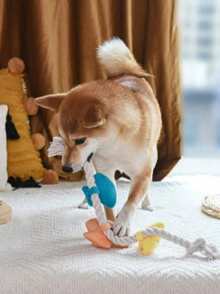 Jouet En Peluche Et Corde - Beach Daze Coquillage 🐚 - HugSmart -Animalerie HugSmart peluche en corde pour chien chiot coquillages 3