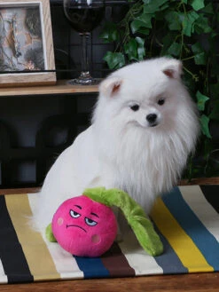 Jouet Interactif Pour Chien - Feisty Veggie Radis - HugSmart -Animalerie HugSmart peluche interactive pour chien chiot radis 1