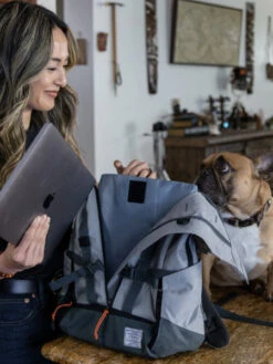 Sac à Dos Pour Transporter Son Chien - Urban 3 Gris - K9 Sport Sack -Animalerie K9 Sport Sack Urban 3 sac a dos transport chien gris 3