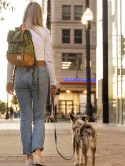 Sac à Dos Pour Transporter Son Chien - Urban 3 Kaki - K9 Sport Sack -Animalerie K9 Sport Sack Urban 3 sac a dos transport chien vert 3 1