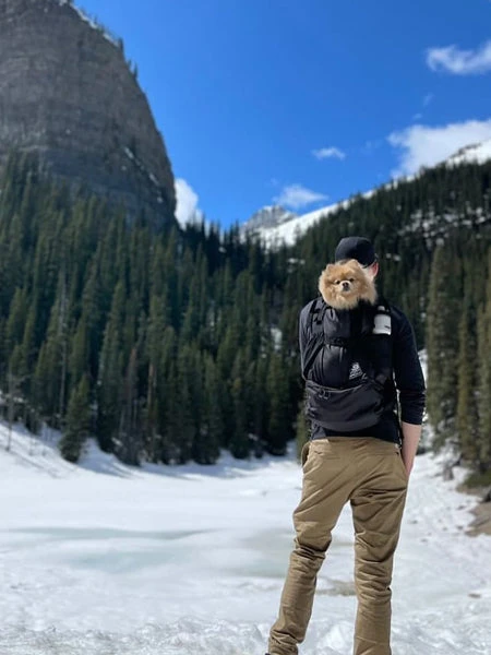 Sac à Dos Pour Transporter Son Chien - AIR 2 Noir - K9 Sport Sack 4 Sac à Dos Pour Transporter Son Chien - AIR 2 Noir - K9 Sport Sack – Image 2