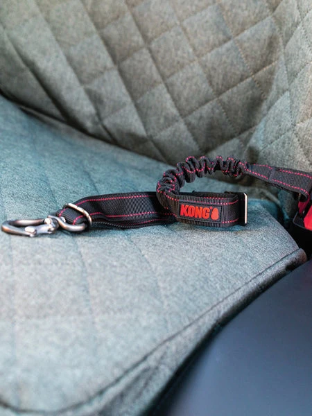 Ceinture De Sécurité Pour Chien - Kong 5 Ceinture De Sécurité Pour Chien - Kong – Image 3