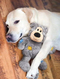Peluche KONG Ours Pour Chien - Wild Knots Bear M/L - Couleur Aléatoire -Animalerie Kong jouet pour chien ours Kong Wild Knots Bear 6