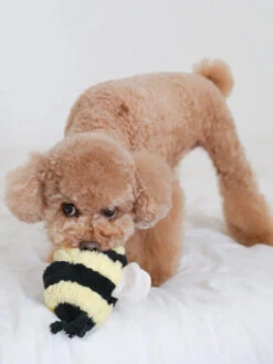 Jouet Design En Forme De Balle - Bee POP 🐝 - Lambwolf Collective -Animalerie Lambwolf Collective jouet design minimalist pour chien BEE POP fouille balle 4
