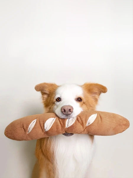 Jouet Interactif Pour Chien - Baguette 4 Jouet Interactif Pour Chien - Baguette – Image 2