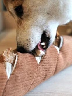 Jouet Interactif Pour Chien - Baguette 8 Jouet Interactif Pour Chien - Baguette -Animalerie Lambwolf Collective jouet design minimalist pour chien Baguette 2