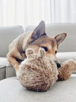 Jouet Design En Forme De Balle - Squirrel POP -Animalerie Lambwolf Collective jouet design minimalist pour chien SQUIRREL POP 2