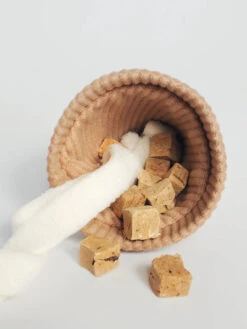 Jouet De Fouille Design En Forme De Glace - Ice Cream POP -Animalerie Lambwolf Collective jouet design minimalist pour chien fouille ice cream pop 2