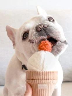 Jouet De Fouille Design En Forme De Glace - Ice Cream POP -Animalerie Lambwolf Collective jouet design minimalist pour chien fouille ice cream pop 3 1