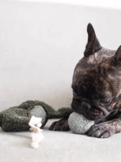 Jouet De Fouille Design En Forme De Pois - Pea POP -Animalerie Lambwolf Collective jouet design minimalist pour chien fouille pea pop 5