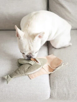 Jouet Interactif Pour Chien - Flying Fish -Animalerie Lambwolf Collective jouet fouille design minimalist pour chien flying fish 2
