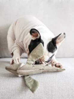 Jouet Interactif Pour Chien - Flying Fish -Animalerie Lambwolf Collective jouet fouille design minimalist pour chien flying fish 4